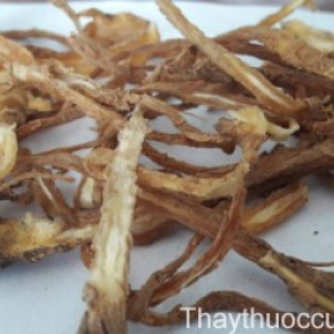 0452_Quy đầu