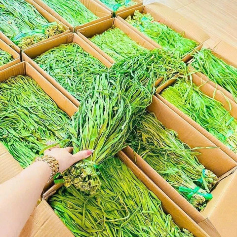 Rau Tiến Vua Khô 1KG