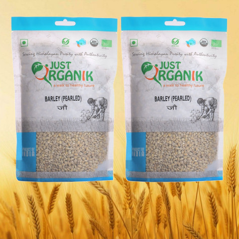 Hạt Lúa Mạch Hữu Cơ Just Organik Barley 500gr
