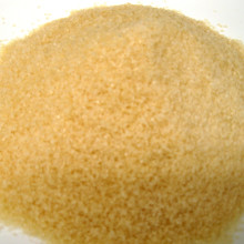 1042_BotGelatine.jpg