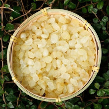 Hạt Bồ Mễ - Tuyết Liên Tử