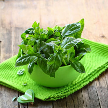 Lá Húng Tây Basil Leaves Khô
