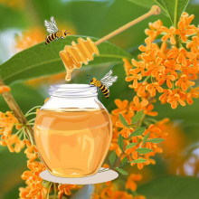 Mật ong hoa rừng Rừng Nhiệt Đới 360g