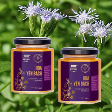 Mật ong chín Hoa Yên Bạch Honimore Chromolaena Odorata 230g