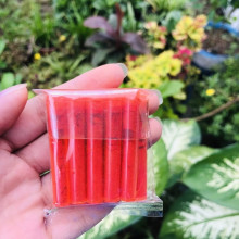 Màu gạch tôm lốc 100 ống 50gr