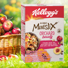 Ngũ cốc trái cây Kellogg's Mueslix Orchard Beauty 355g