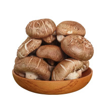 Nấm hương - nấm đông cô đặc biệt