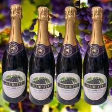 Nước Nho Nguyên Chất Có Ga Salubritti 750ml