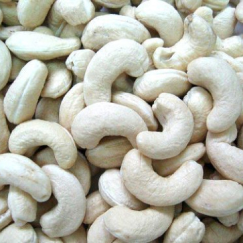 0208_HatDieuTuoi.jpg