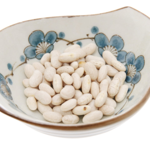 Đậu trắng đà lạt