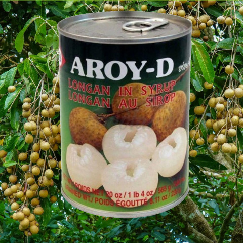 Nhãn ngâm đường Aroy-D Longan in Syrup 565g