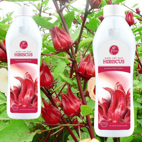 Nước Cốt Hibiscus 1L