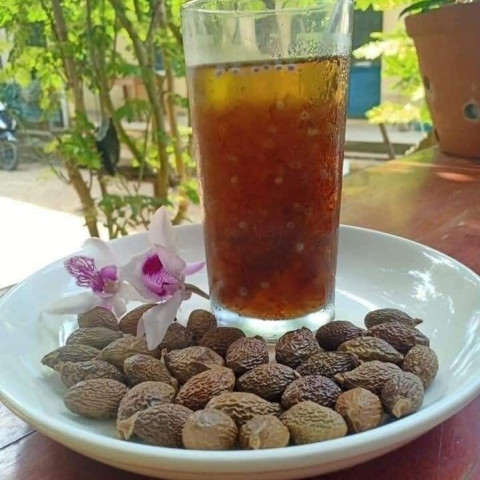 Hạt đười ươi