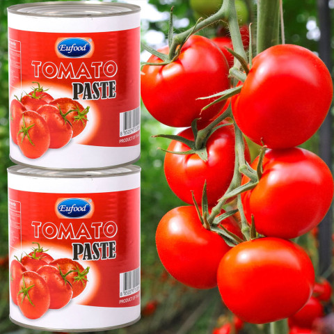 Cà chua xay nhuyễn EuFood Tomato Paste 3.2kg