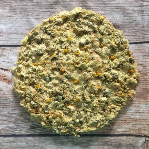 Hoa Cúc Trắng Sấy Khô Dạng Bánh