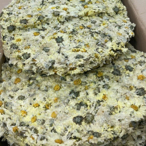 Hoa Cúc Trắng Sấy Khô Dạng Bánh