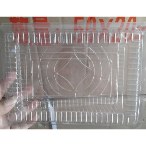 Hộp đồng tiền lớn 16x25 chũ nhật trong suốt