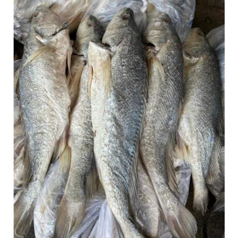 Khô cá sửu