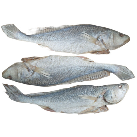Khô cá sửu