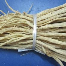 Lộ đảng sâm (bạch lộ đảng)