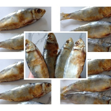 Cá trích khô