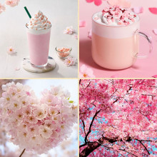 Bột latte hoa anh đào và xoài DP Food 500g