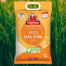 Gạo Thơm Đặc Sản Neptune ST25 Lúa Tôm Plus 5kg