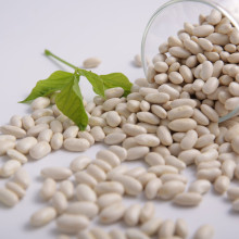 Đậu trắng Phú Minh Tâm 450g