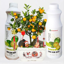 Sirô kim quất Wonderful Kumquat Sacs Syrup 1.3kg
